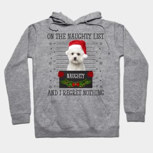 On The Naughty List, And I Regret Nothing Hoodie